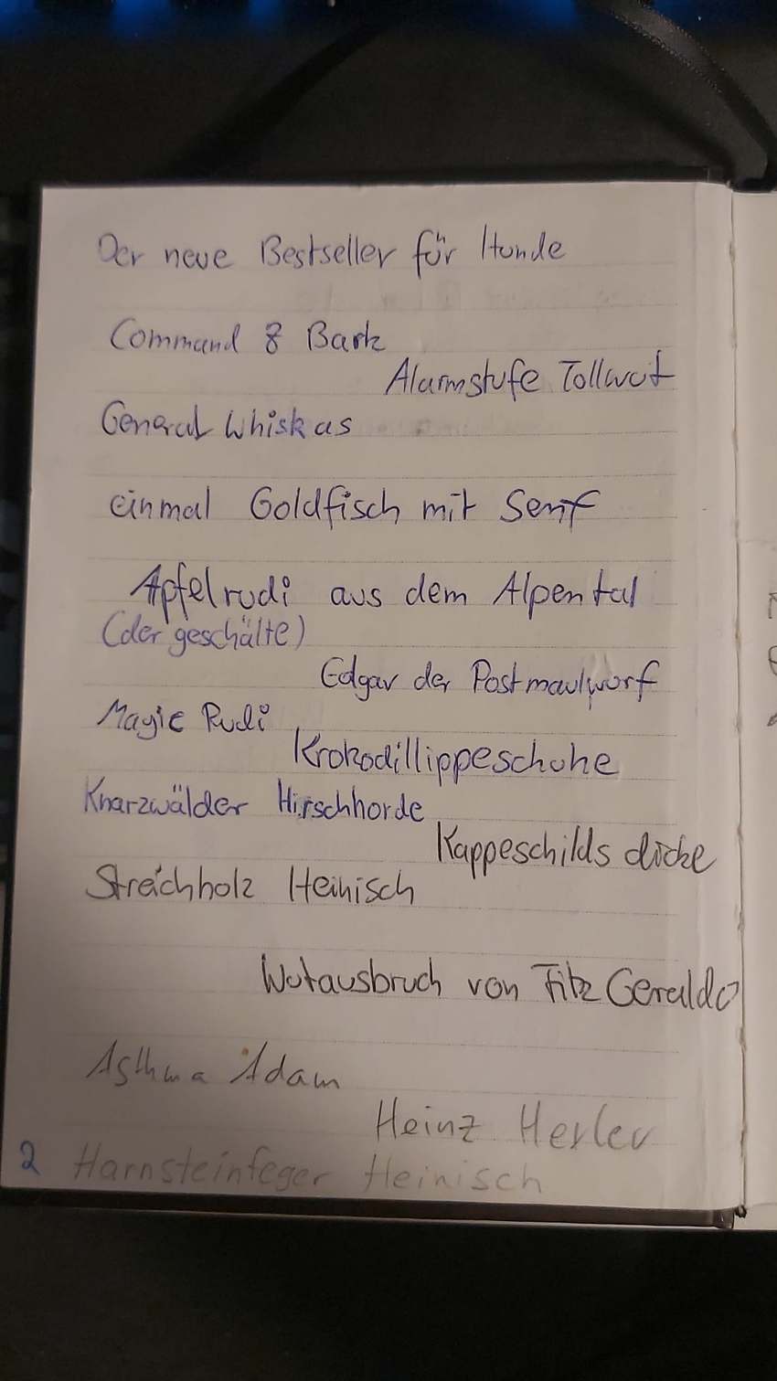 Seite 2 des Dummkopp Duden
