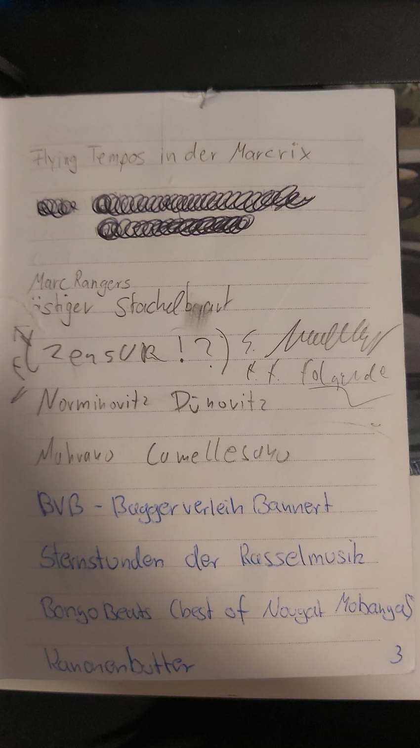 Seite 3 des Dummkopp Duden
