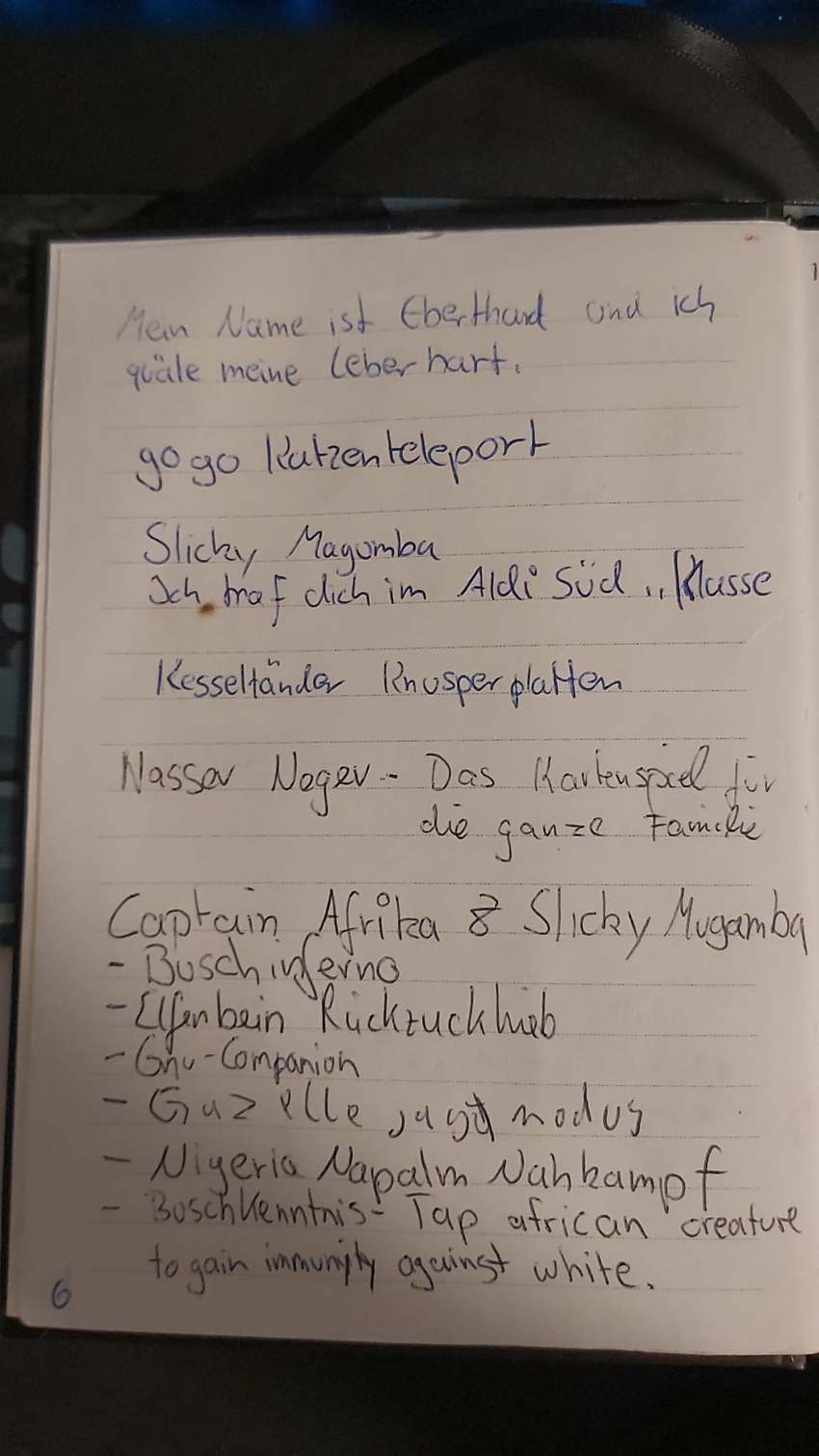 Seite 6 des Dummkopp Duden