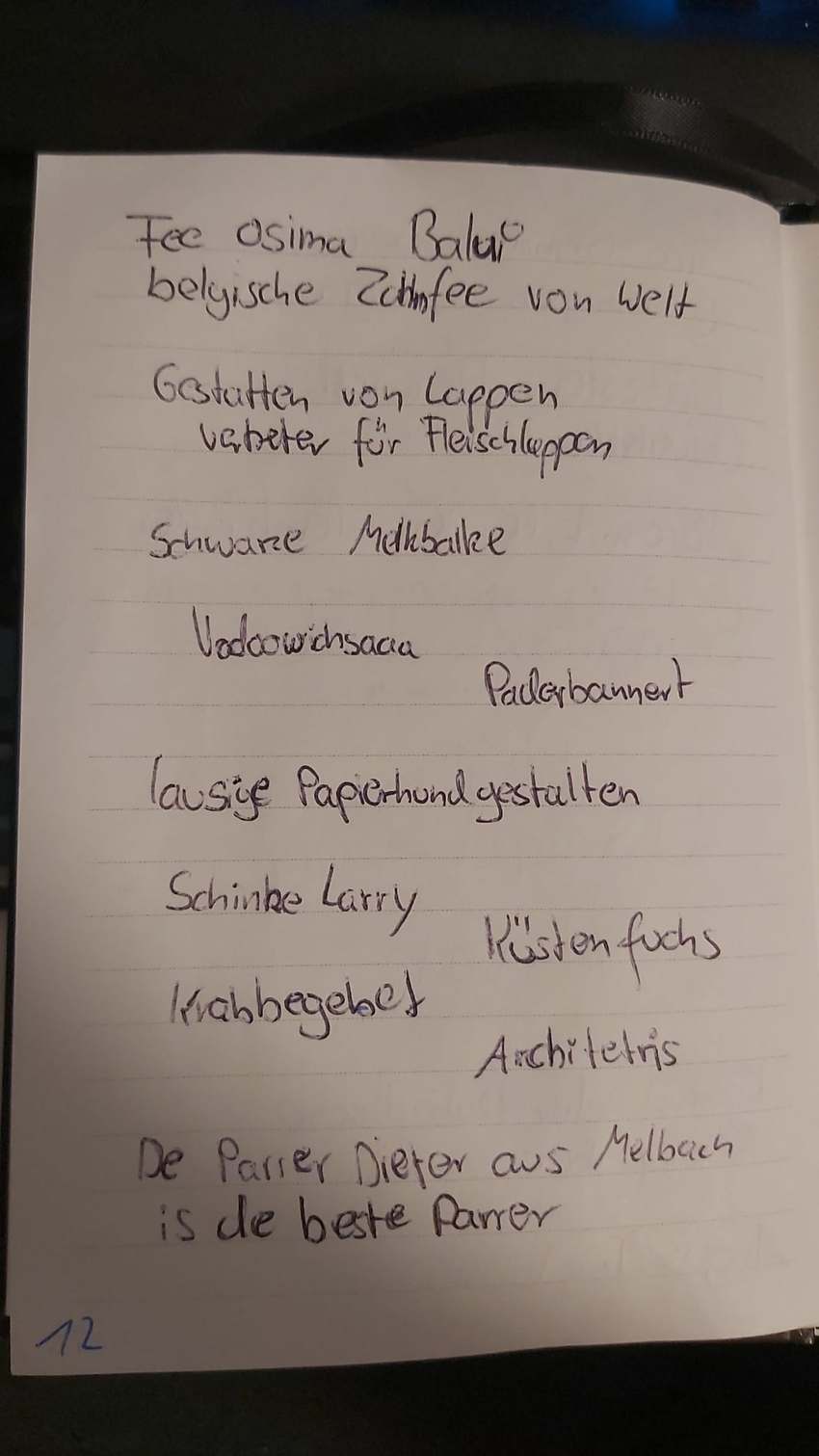Seite 12 des Dummkopp Duden