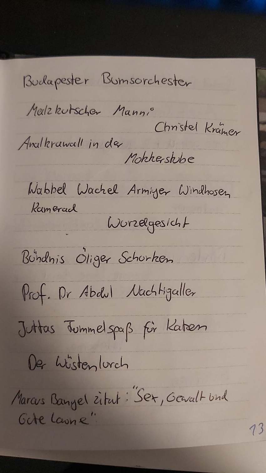 Seite 13 des Dummkopp Duden