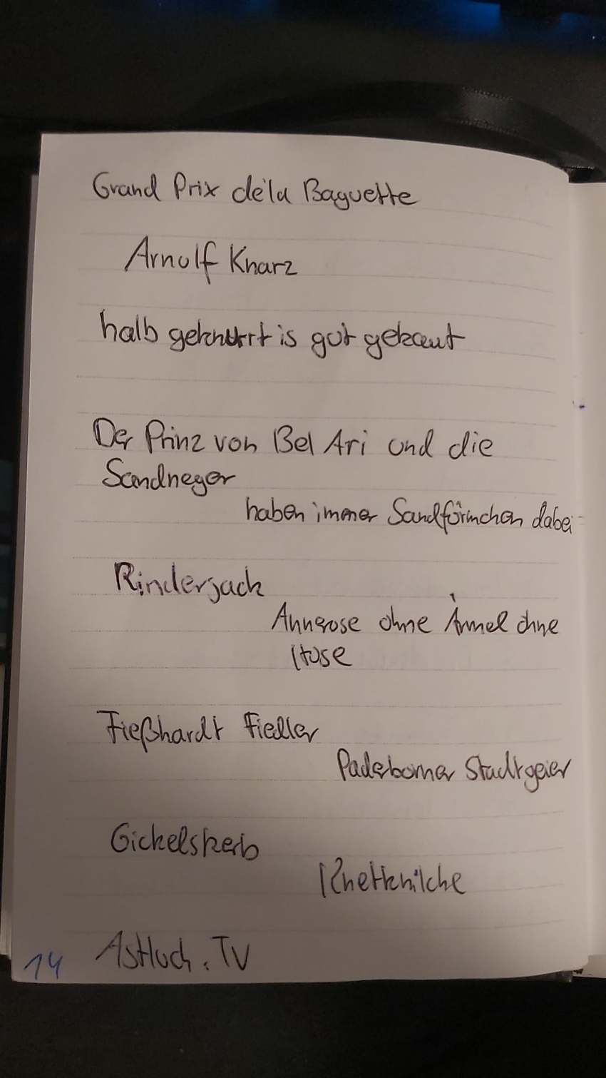 Seite 14 des Dummkopp Duden