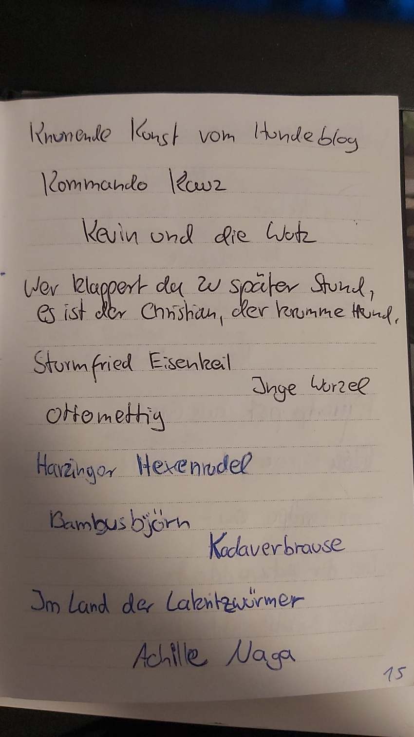 Seite 15 des Dummkopp Duden