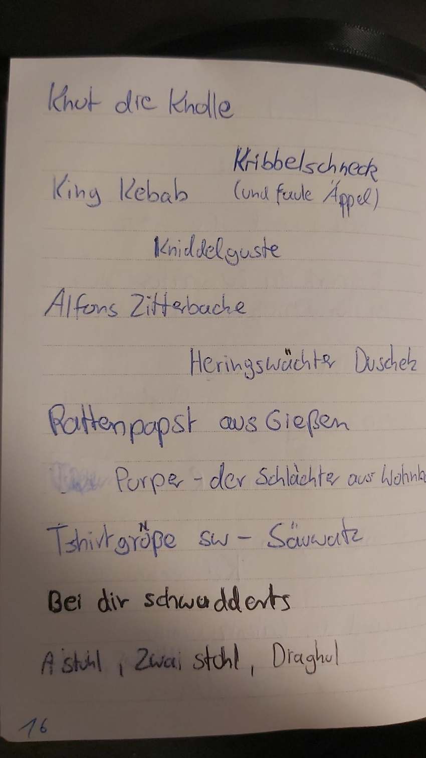 Seite 16 des Dummkopp Duden
