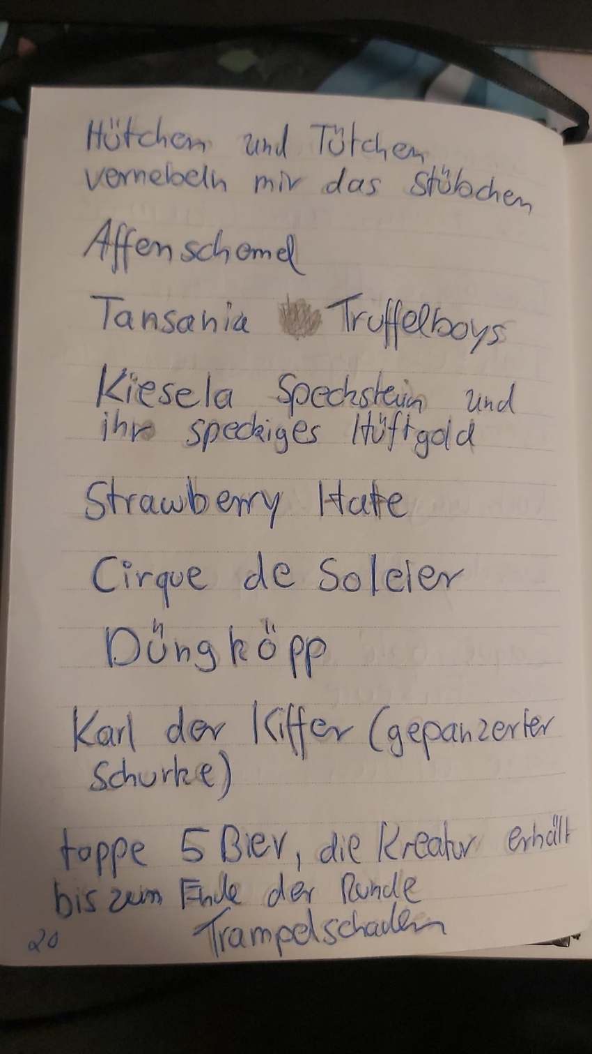 Seite 20 des Dummkopp Duden
