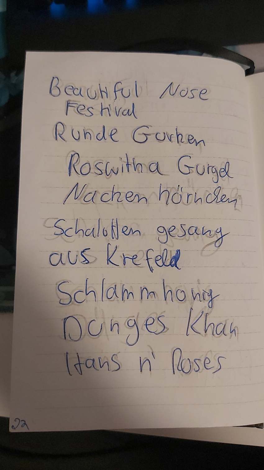 Seite 22 des Dummkopp Duden