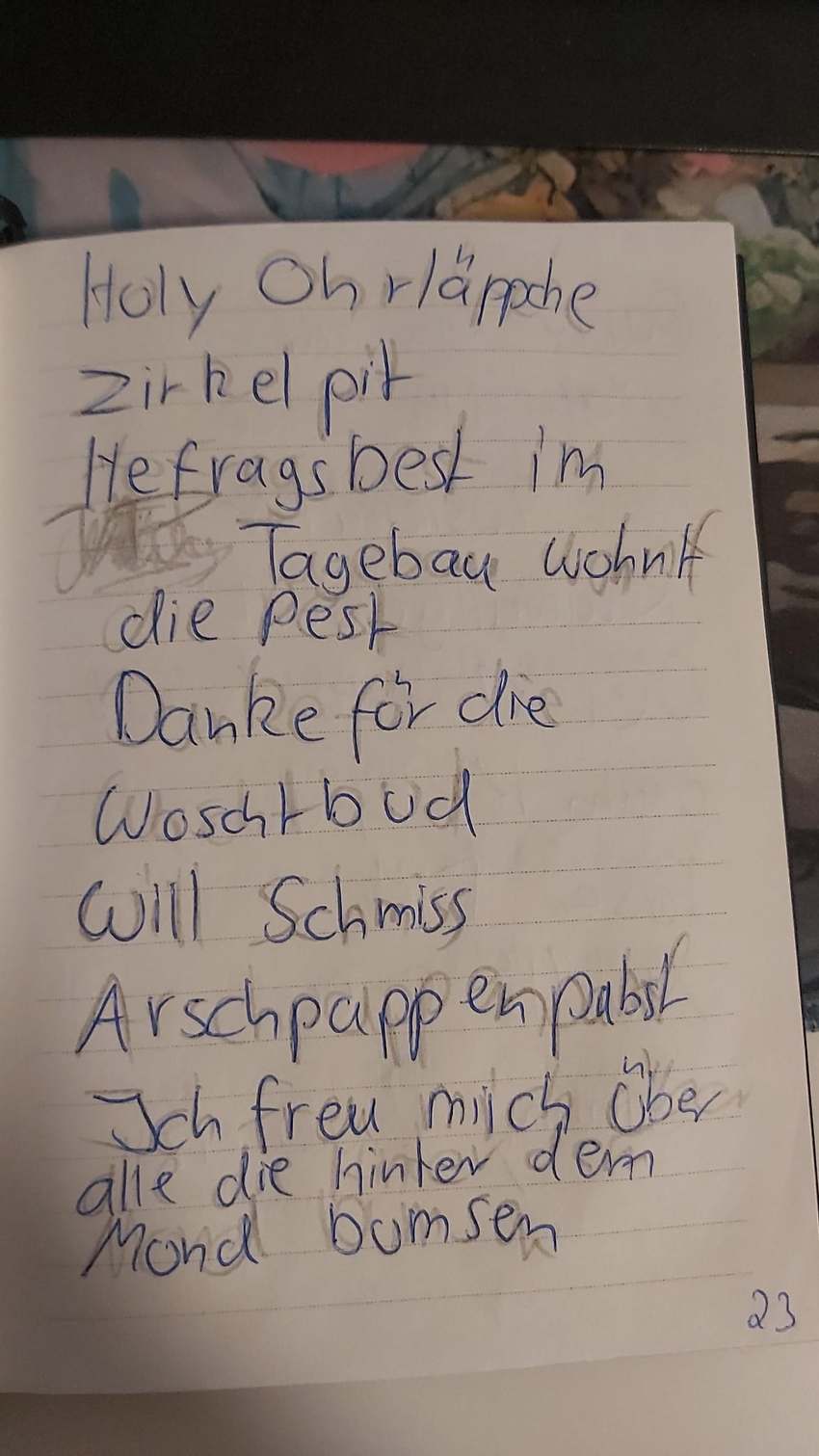 Seite 23 des Dummkopp Duden