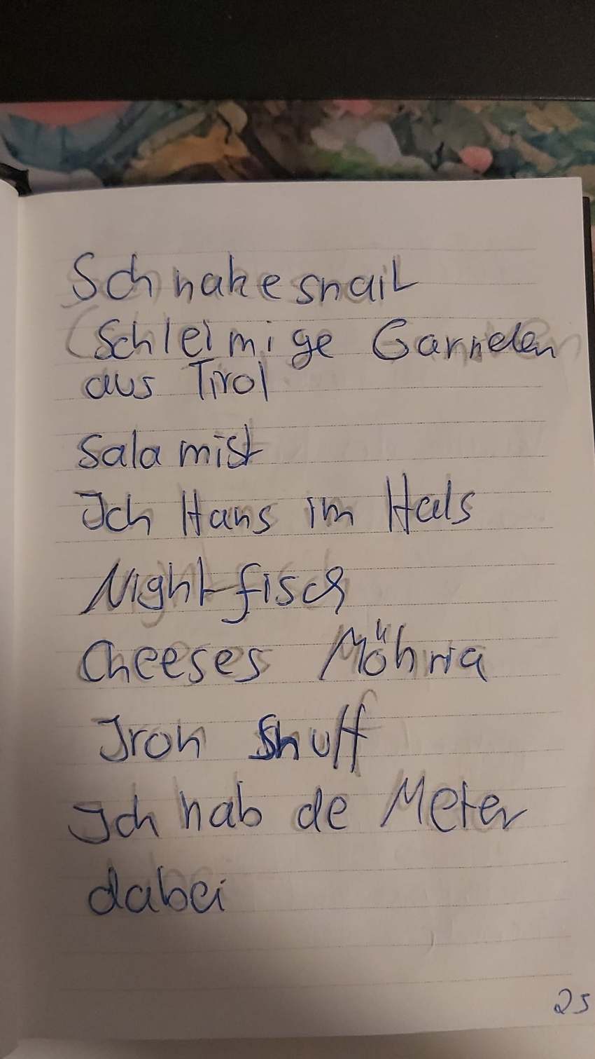 Seite 25 des Dummkopp Duden