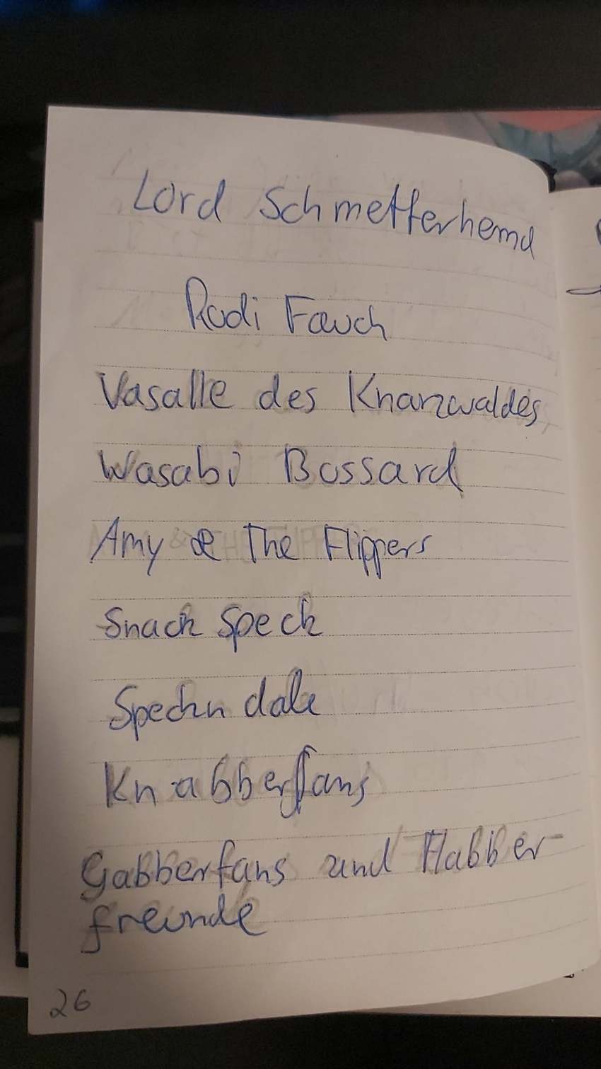 Seite 26 des Dummkopp Duden