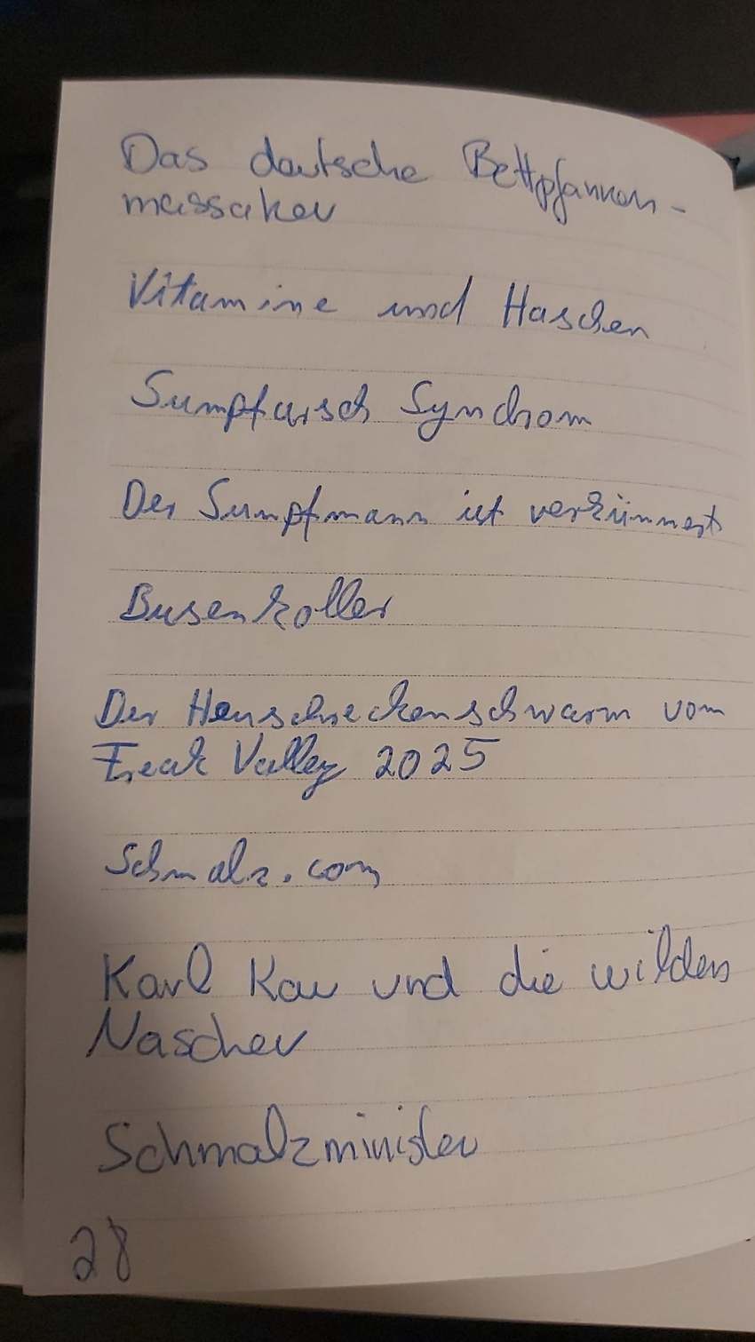 Seite 28 des Dummkopp Duden