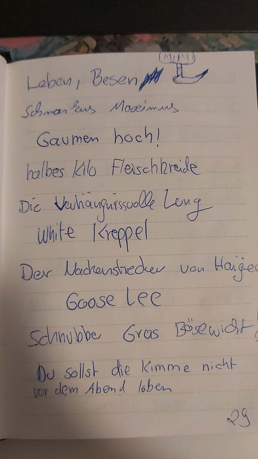 Seite 29 des Dummkopp Duden