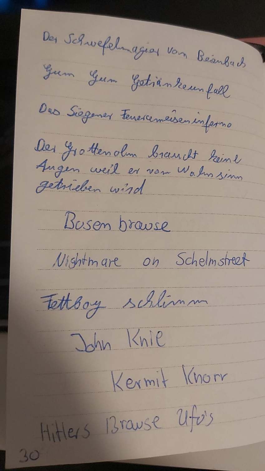 Seite 30 des Dummkopp Duden