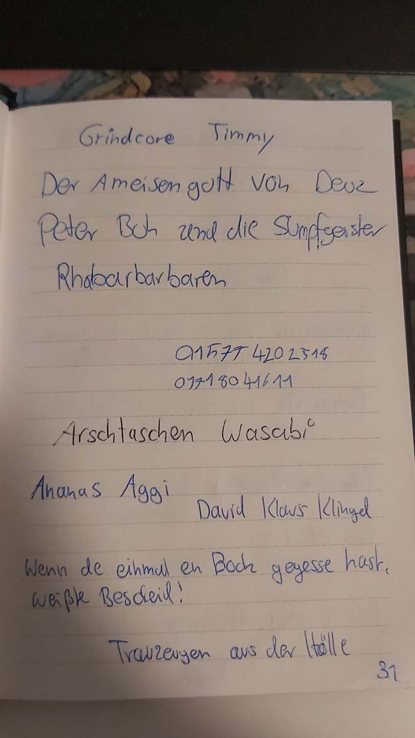 Seite 31 des Dummkopp Duden