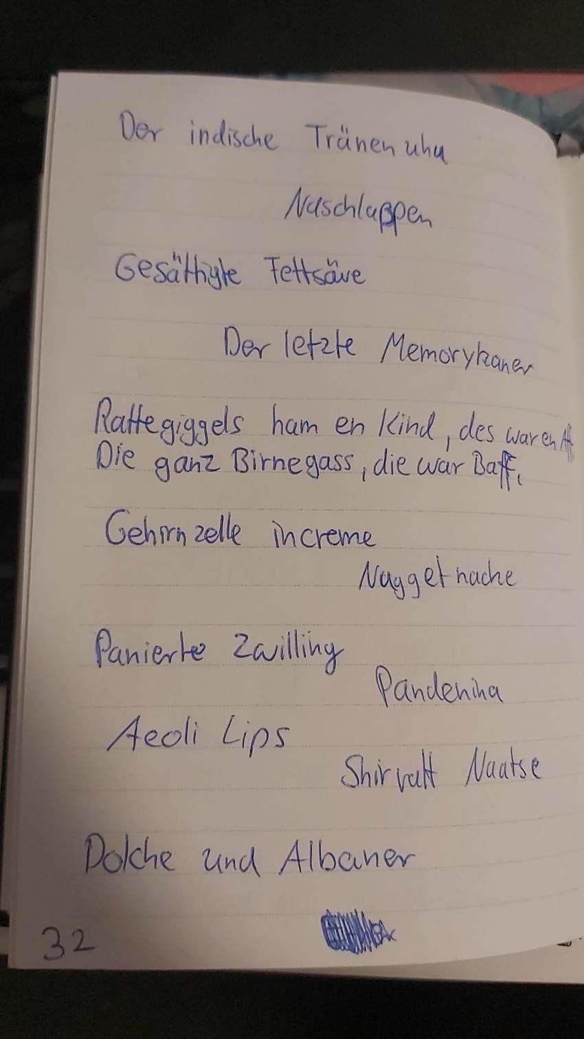 Seite 32 des Dummkopp Duden