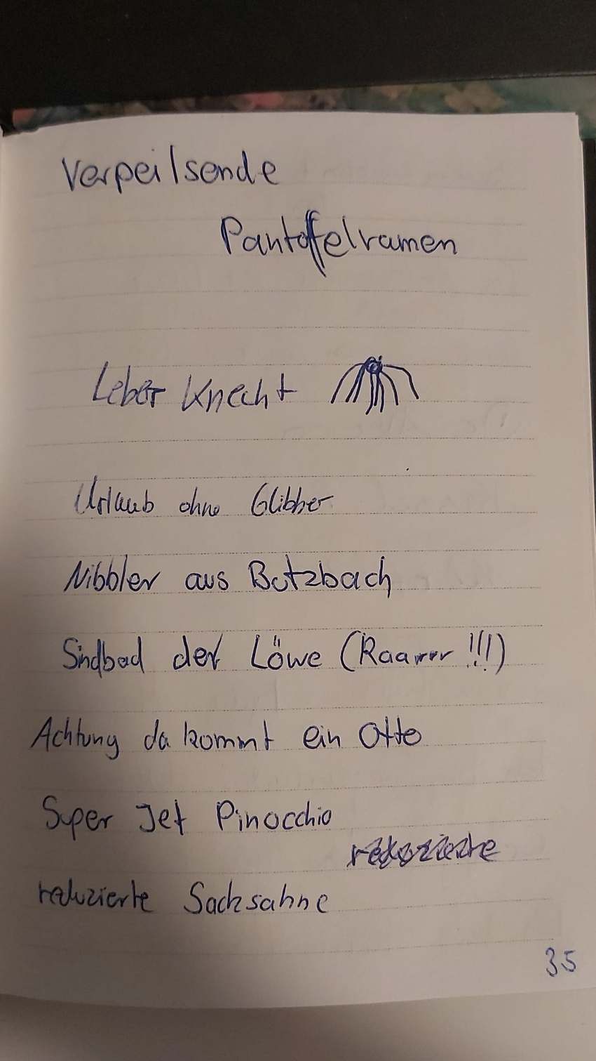 Seite 35 des Dummkopp Duden
