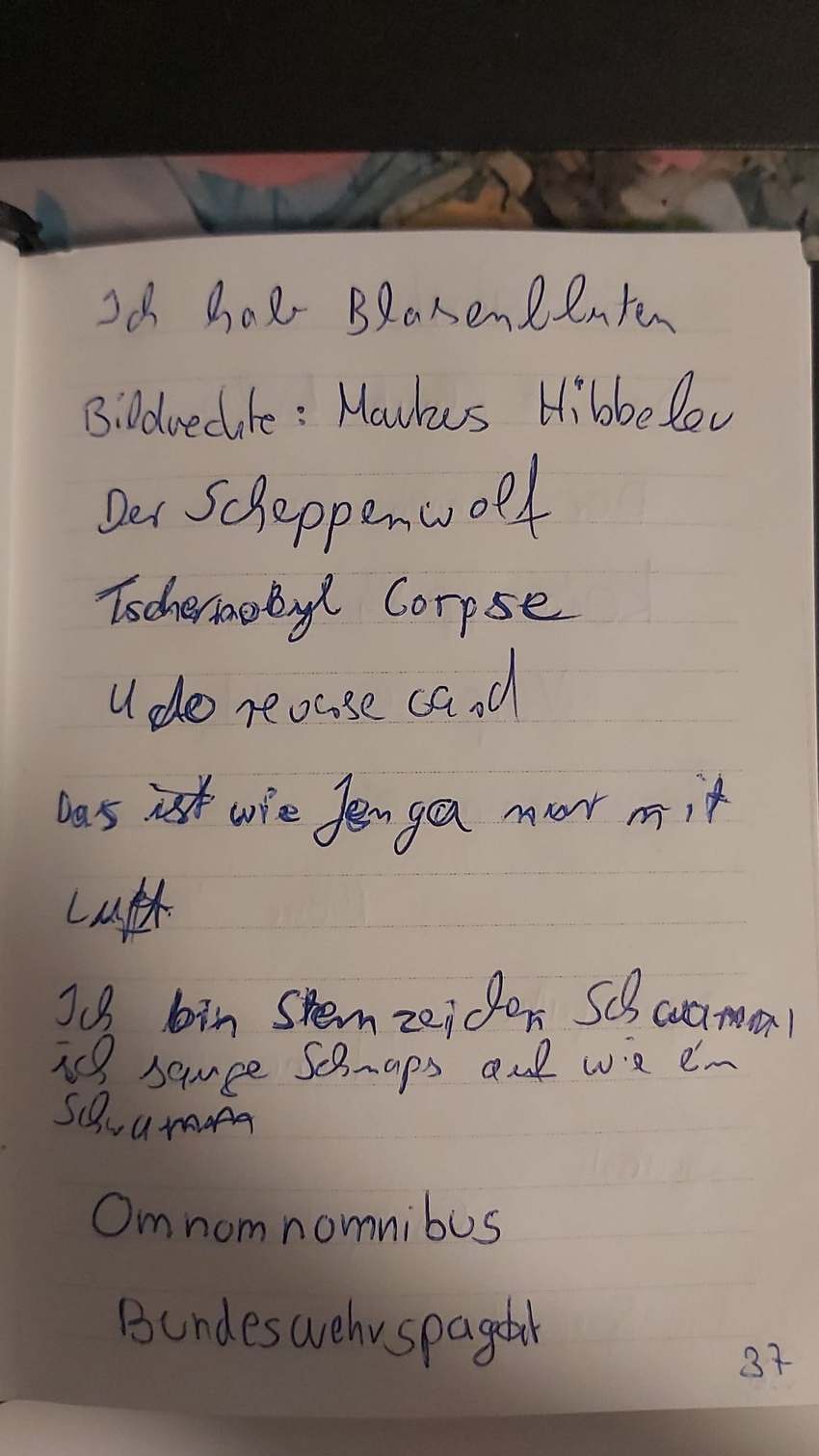 Seite 37 des Dummkopp Duden