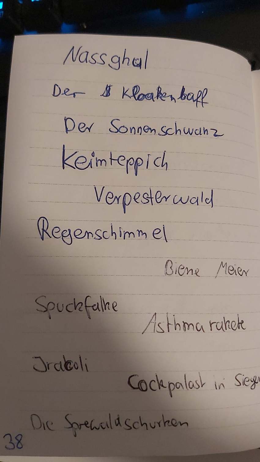 Seite 38 des Dummkopp Duden